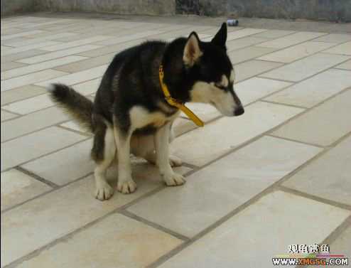 [ԭ��]�͹��������28Сʱ~