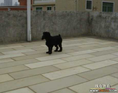 [ԭ��]�͹��������28Сʱ~