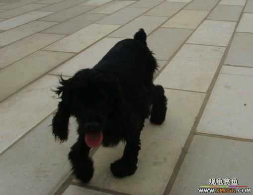 [ԭ��]�͹��������28Сʱ~