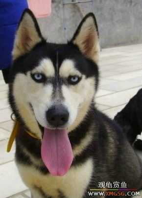 [ԭ��]�͹��������28Сʱ~