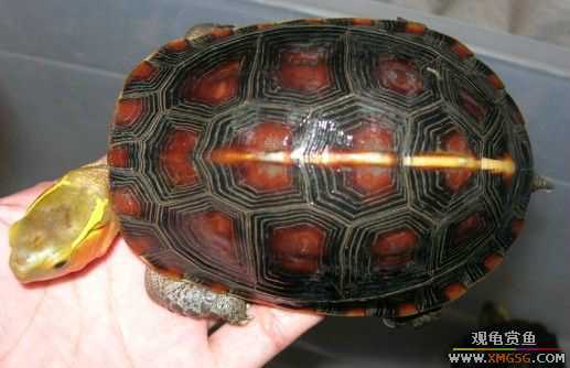 ��Ե ���� ����