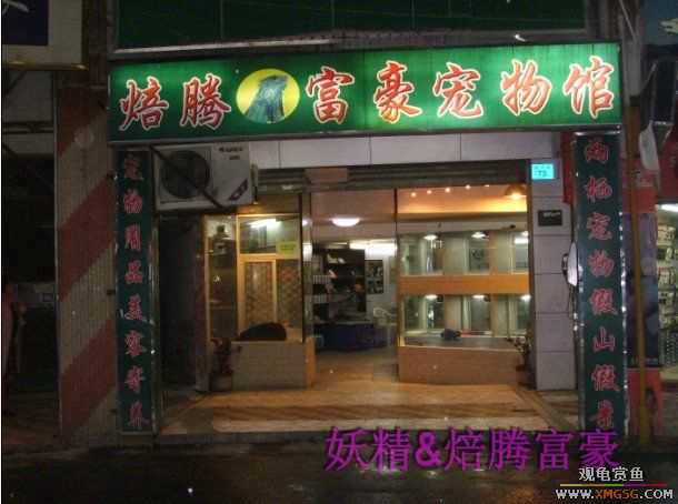 [ԭ��]���ֳԳԷ���