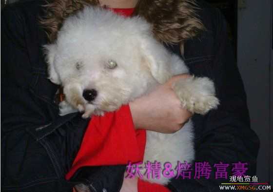 [ԭ��]���ֳԳԷ���