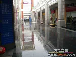 [ת��]�����ĸ�Сʱ����"������ҵ�㳡"ȴ���ˡ���������˹ˮ�ǡ�