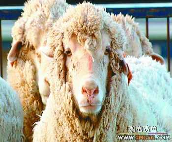 [ת��]������ֻ���޻������� ��Ϊ���ṩ����(ͼ)