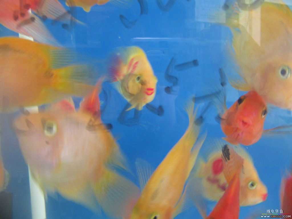 ������֮��,ˮ���.����·187��(�ø۾ƼҶ���)