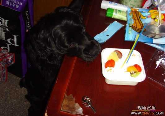 [ԭ��]�������������ඡ�����������