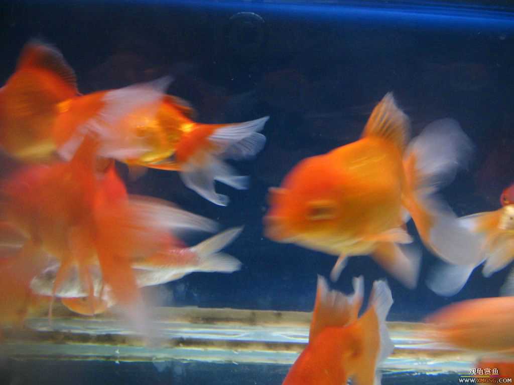 ������֮��,ˮ���.����·187��(�ø۾ƼҶ���)