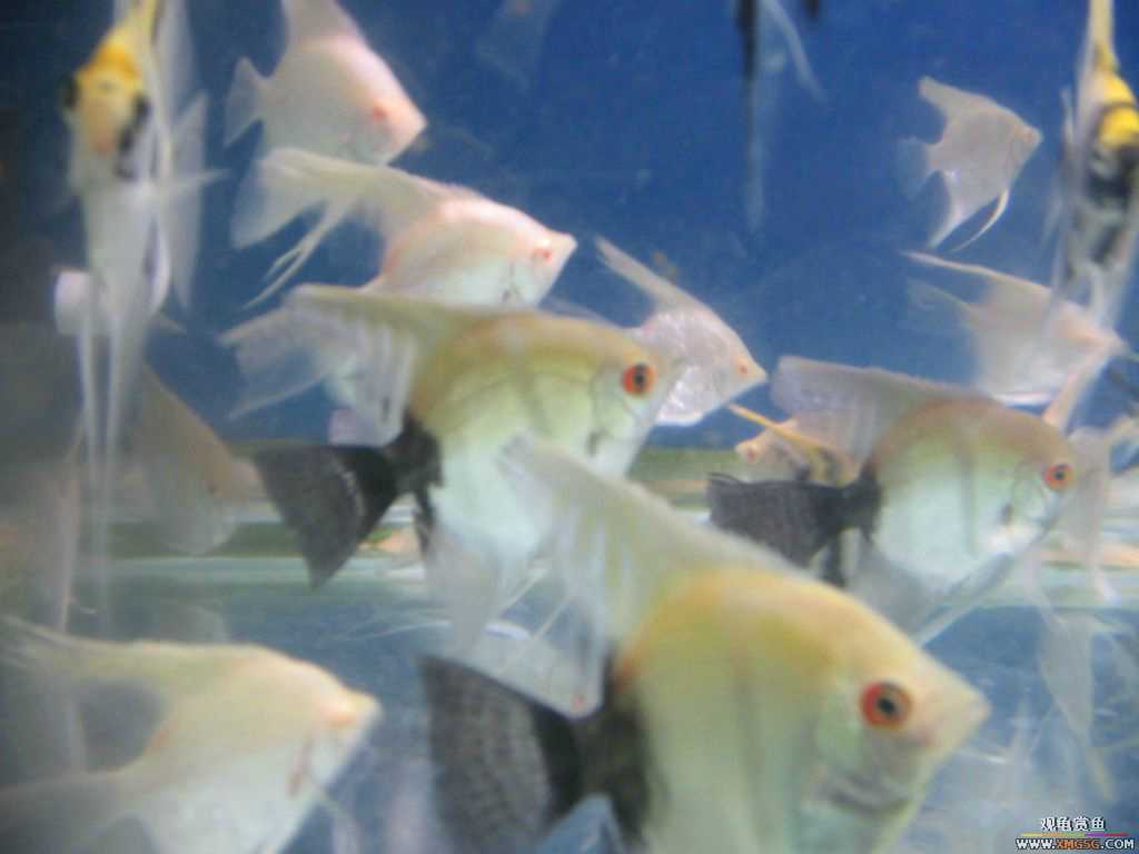 ������֮��,ˮ���.����·187��(�ø۾ƼҶ���)