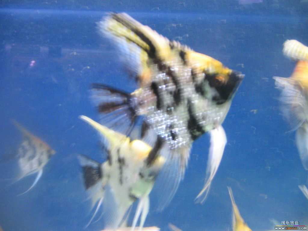 ������֮��,ˮ���.����·187��(�ø۾ƼҶ���)