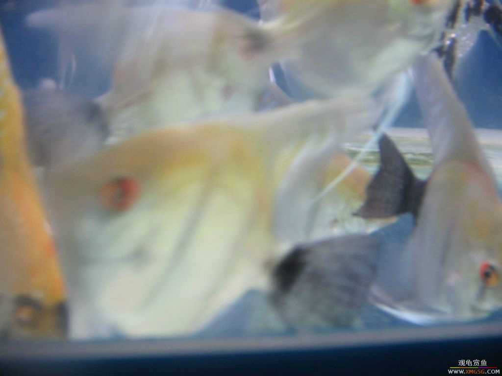 ������֮��,ˮ���.����·187��(�ø۾ƼҶ���)