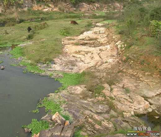 ����ɵ���!�����һ㱨һ��!