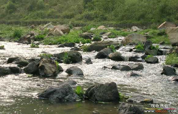 ����ɵ���!�����һ㱨һ��!