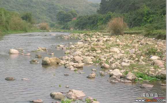 ����ɵ���!�����һ㱨һ��!