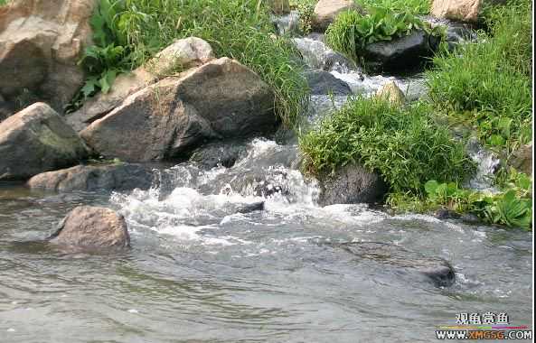 ����ɵ���!�����һ㱨һ��!