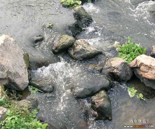 ����ɵ���!�����һ㱨һ��!