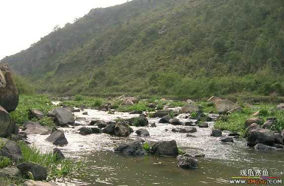 ����ɵ���!�����һ㱨һ��!