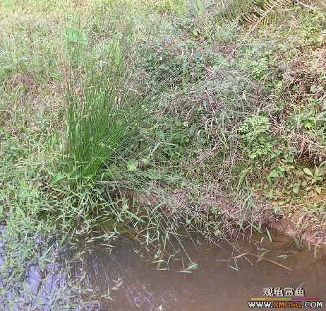 ����ɵ���!�����һ㱨һ��!