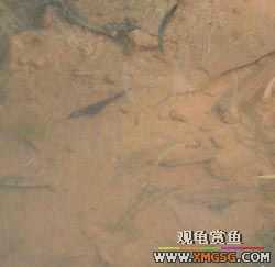 ����ɵ���!�����һ㱨һ��!