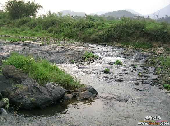 ����ɵ���!�����һ㱨һ��!