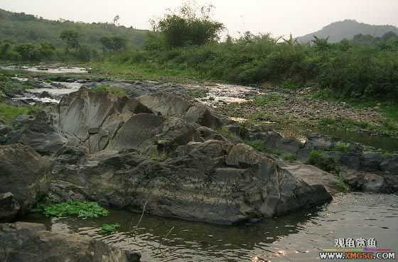 ����ɵ���!�����һ㱨һ��!