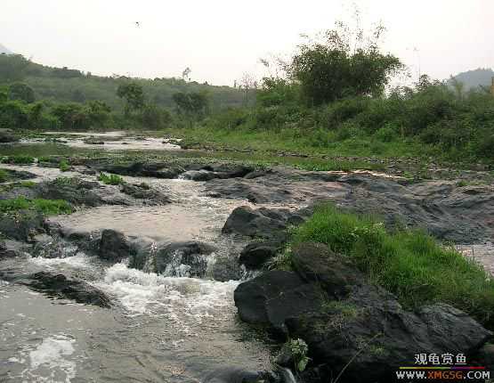 ����ɵ���!�����һ㱨һ��!