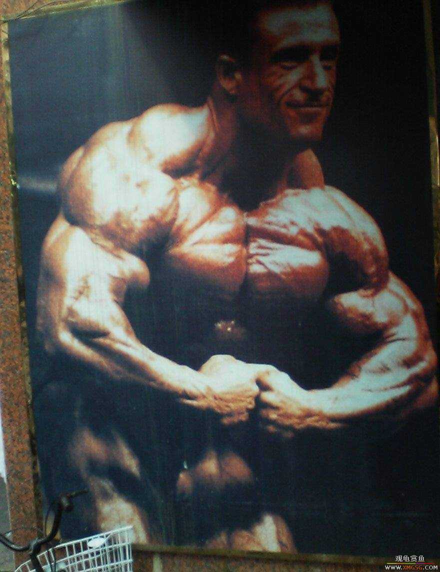 ����������˽�������