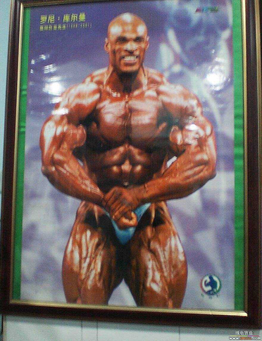 ����������˽�������