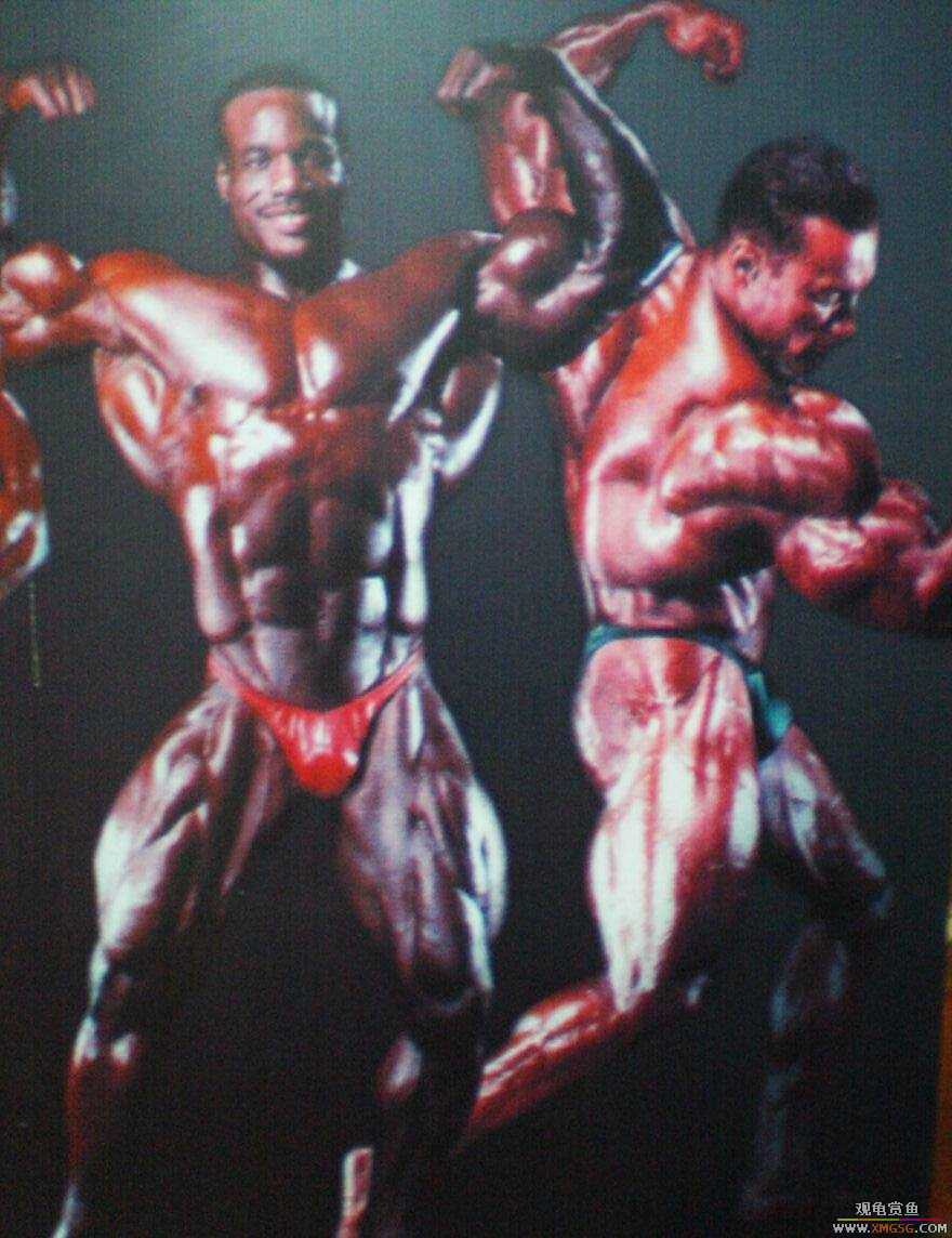 ����������˽�������