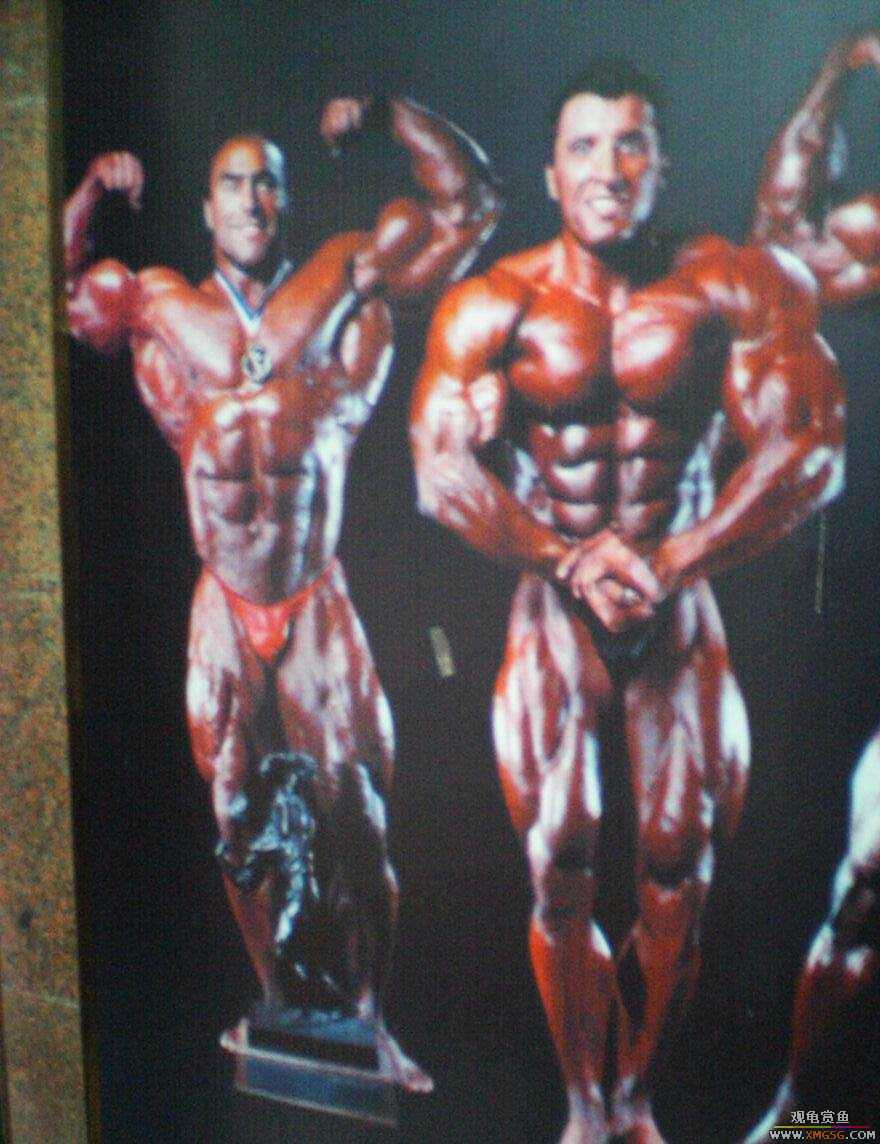 ����������˽�������