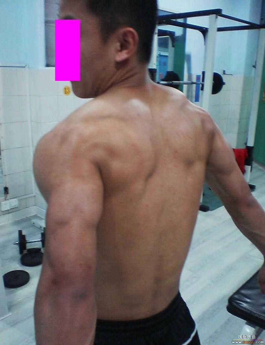 ����������˽�������