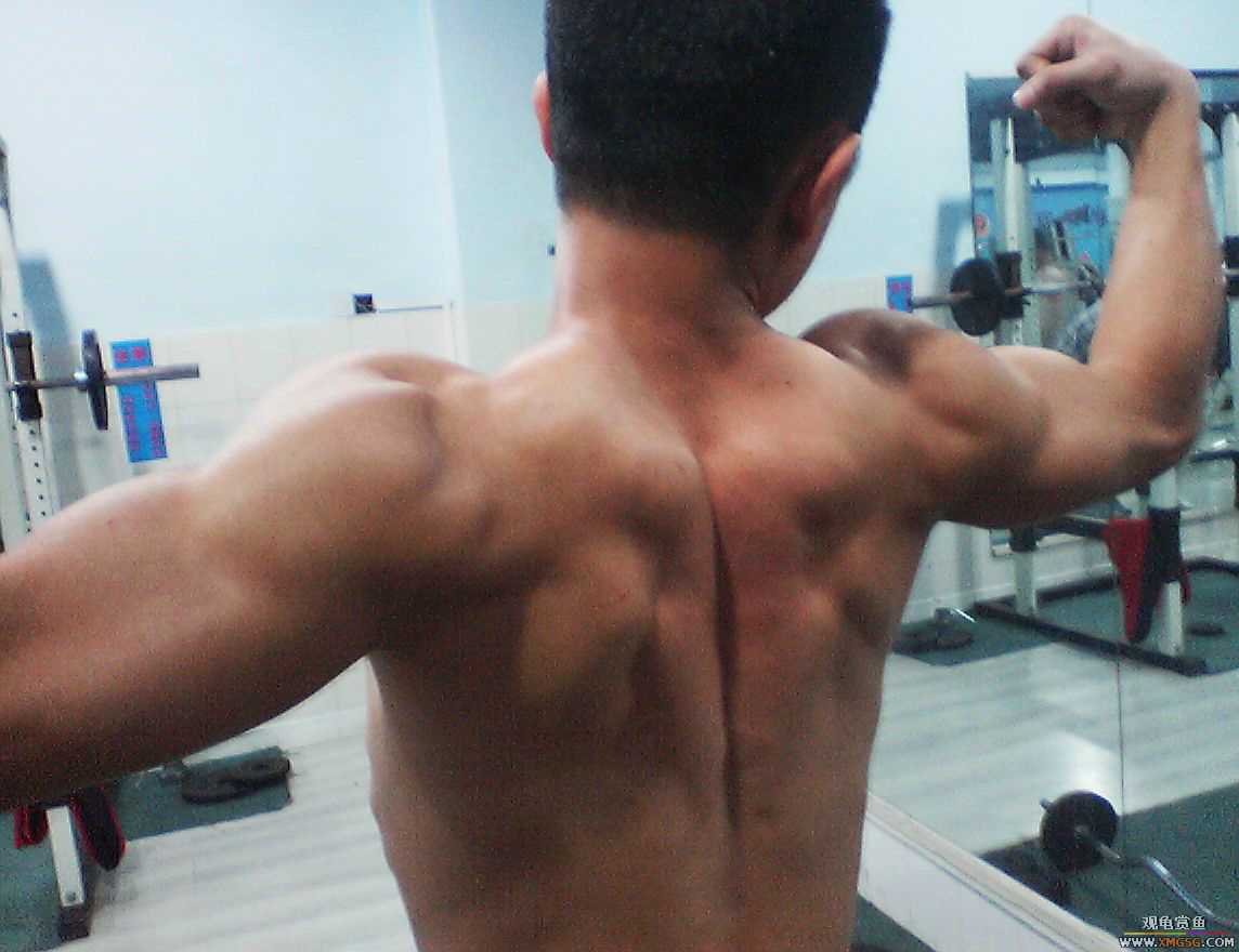 ����������˽�������