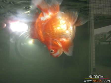 [ԭ��]��������