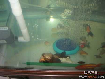 [ԭ��]��������