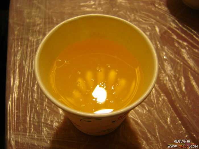 [ԭ��][ע��] ����ʮ��Ԫ���� FB �