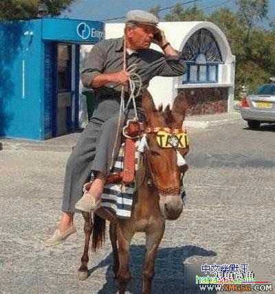 [��ͼ]��ţ�ĳ��⳵