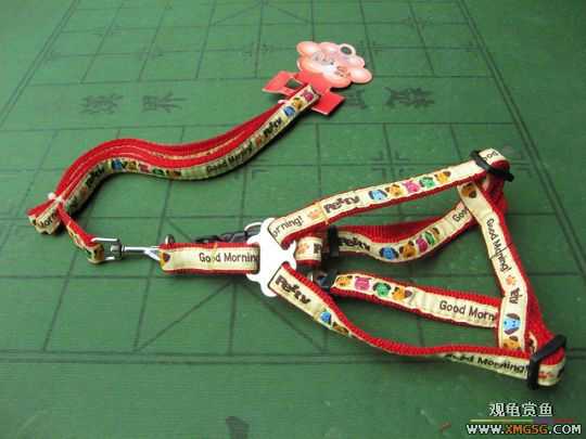 [����]һЩ������Ʒ�ͳ�����ʳ