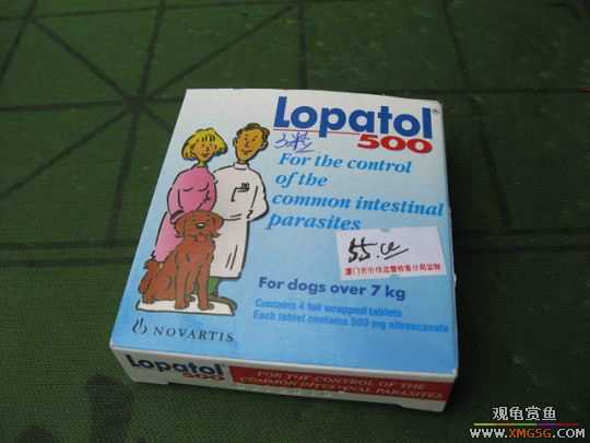 [����]һЩ������Ʒ�ͳ�����ʳ