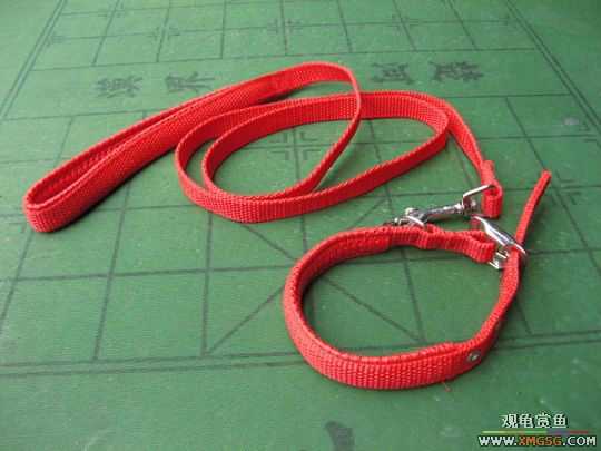 [����]һЩ������Ʒ�ͳ�����ʳ