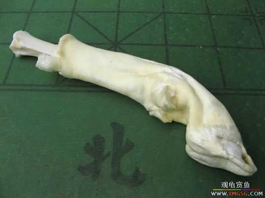 [����]һЩ������Ʒ�ͳ�����ʳ