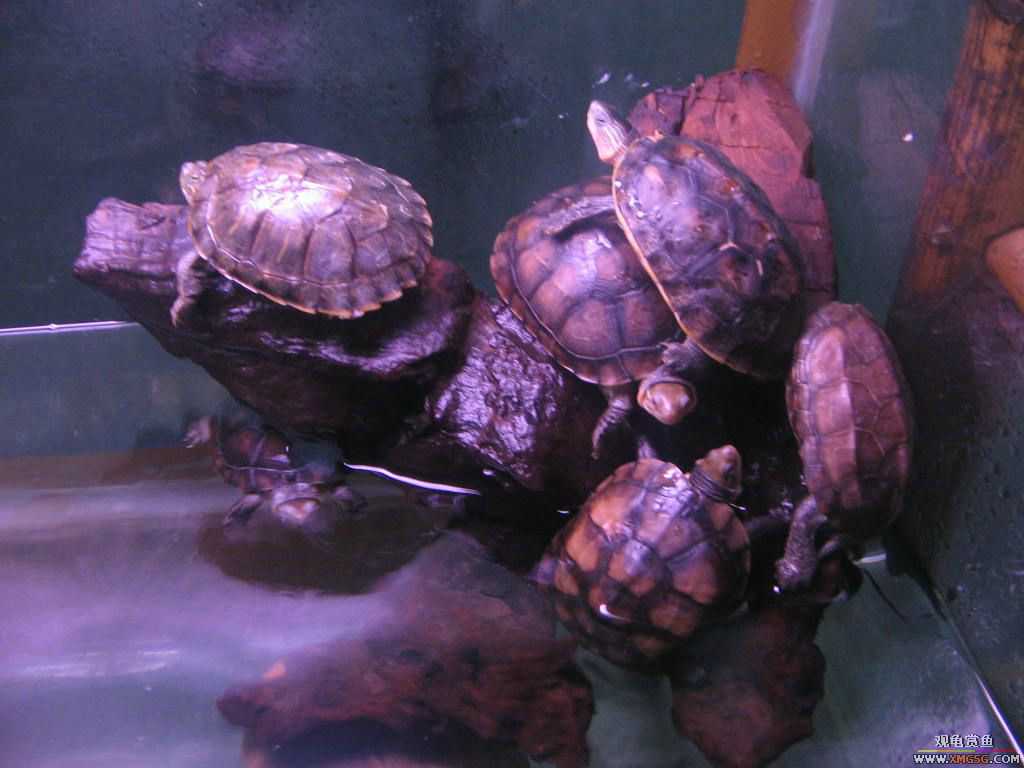 ������֮��,ˮ���.����·187�ŵ绰:13600976919С֣