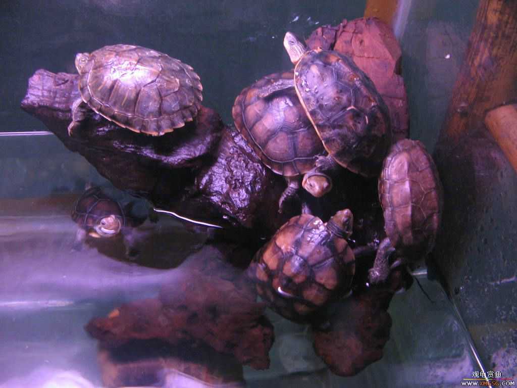 ������֮��,ˮ���.����·187�ŵ绰:13600976919С֣