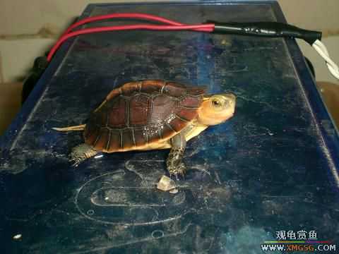 ���ְ��ջ�Ե!!!