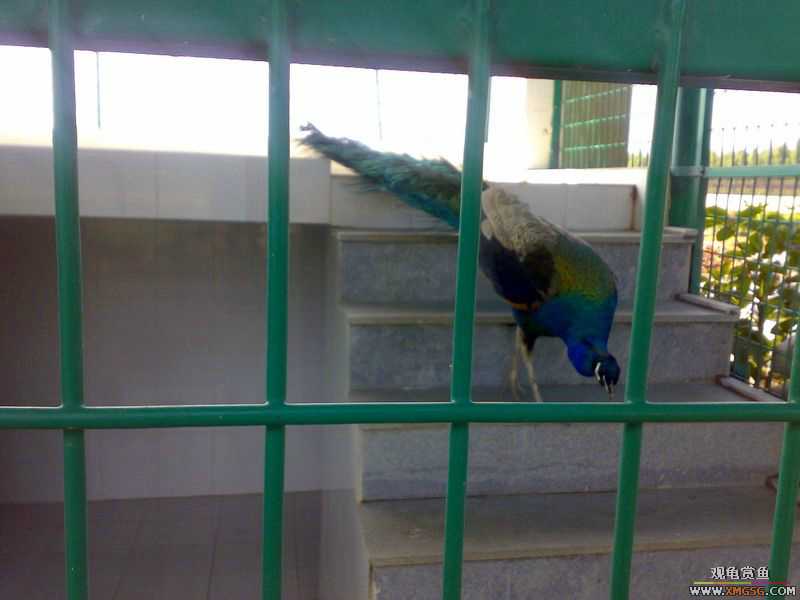 ˽��԰����Ķ���