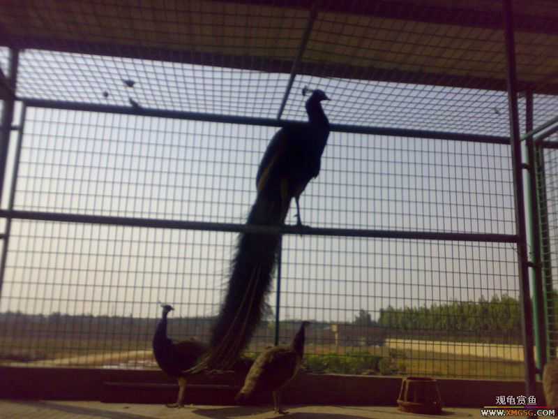 ˽��԰����Ķ���