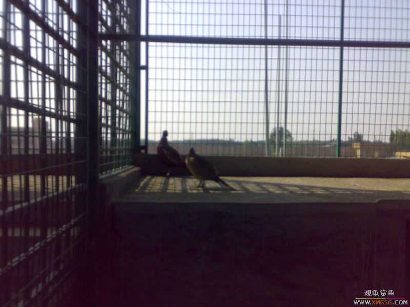 ˽��԰����Ķ���