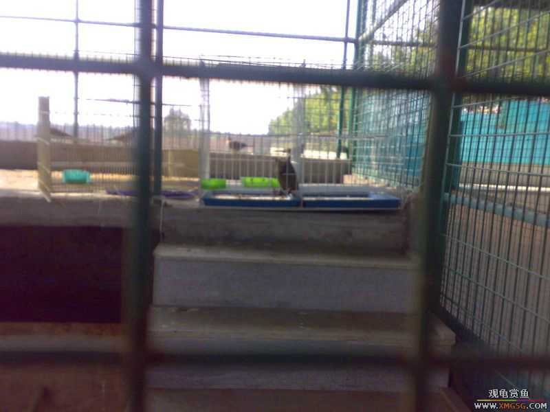 ˽��԰����Ķ���