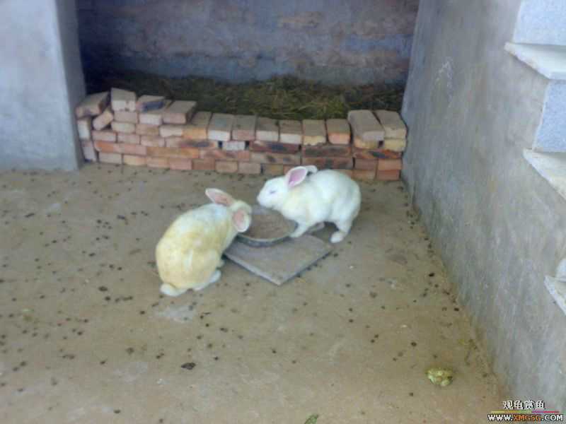 ˽��԰����Ķ���