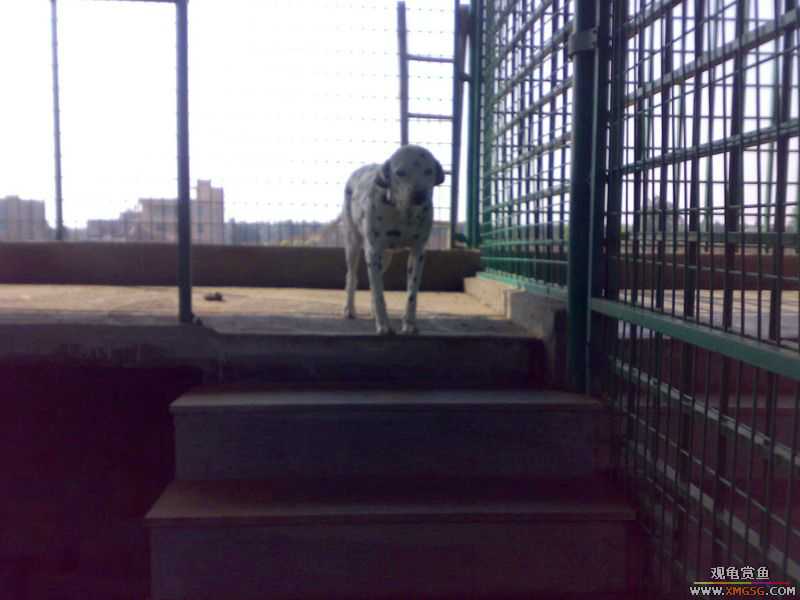 ˽��԰����Ķ���