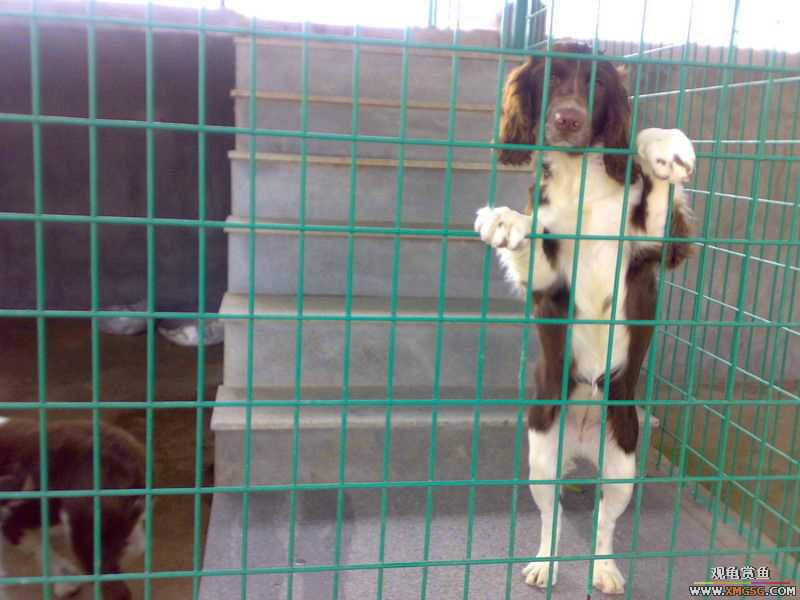 ˽��԰����Ķ���